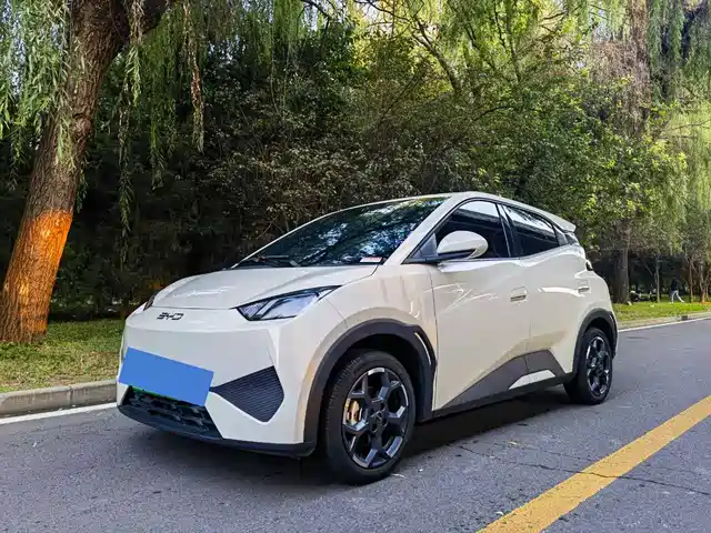 BYD Seagull