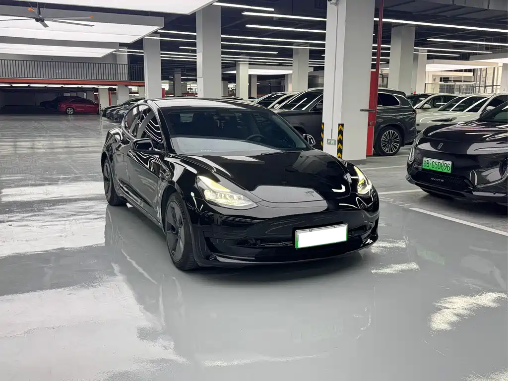 Tesla Model 3 — миниатюра 3