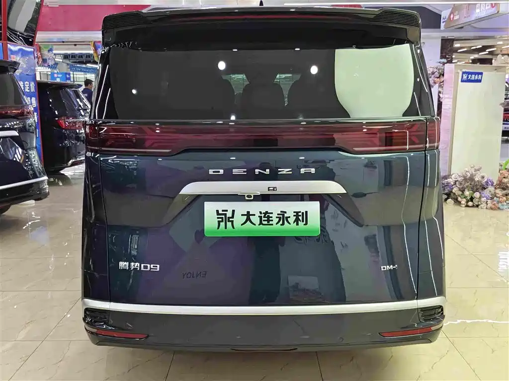Denza Denza D9 — миниатюра 15