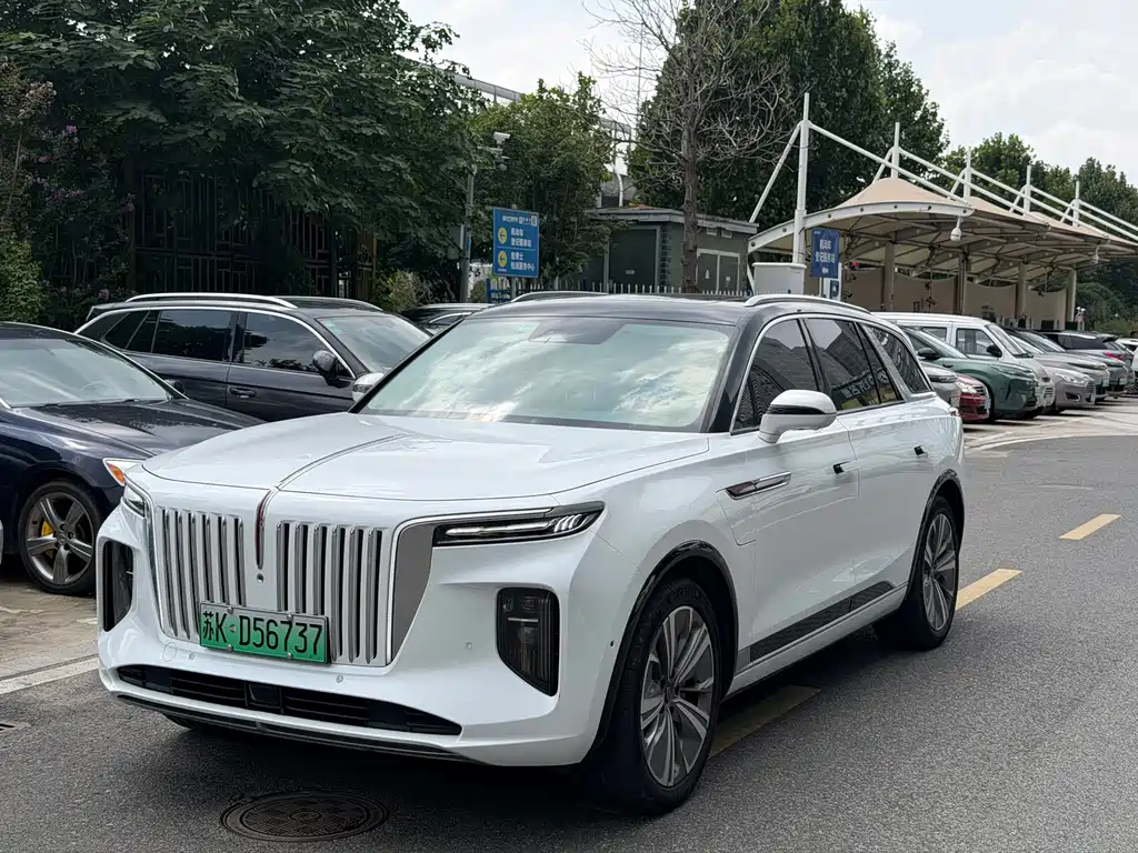 Hongqi Hongqi E-HS9