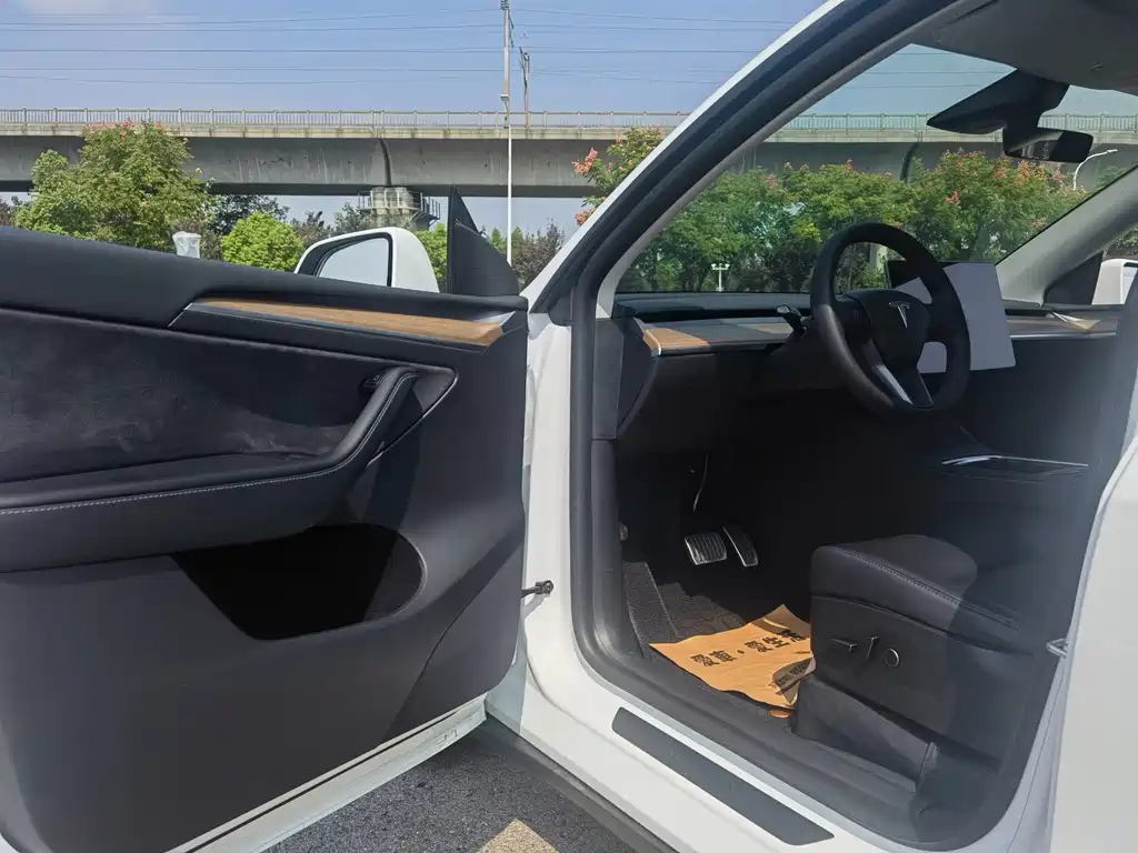 Tesla Model Y — миниатюра 10