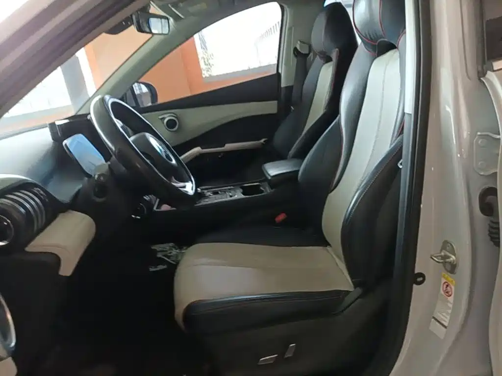 BYD Yuan Plus — миниатюра 15