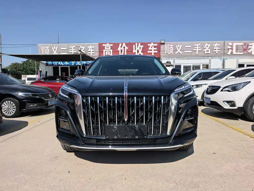Hongqi Hongqi HS3 PHEV — миниатюра 2