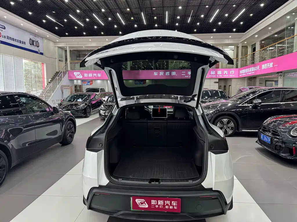 Tesla Model Y — миниатюра 18