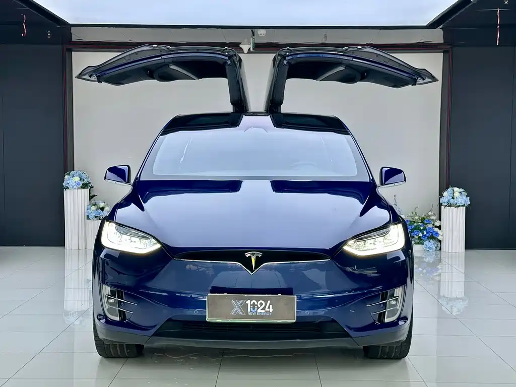 Tesla Model X — миниатюра 2