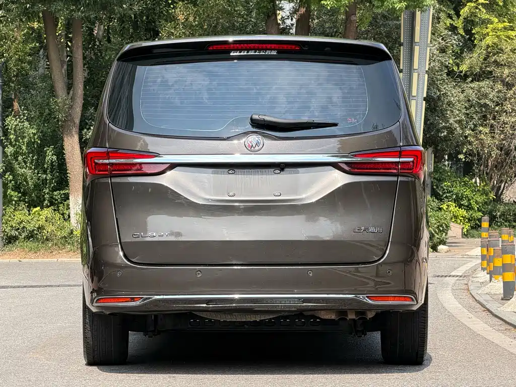 Buick GL8 — миниатюра 6