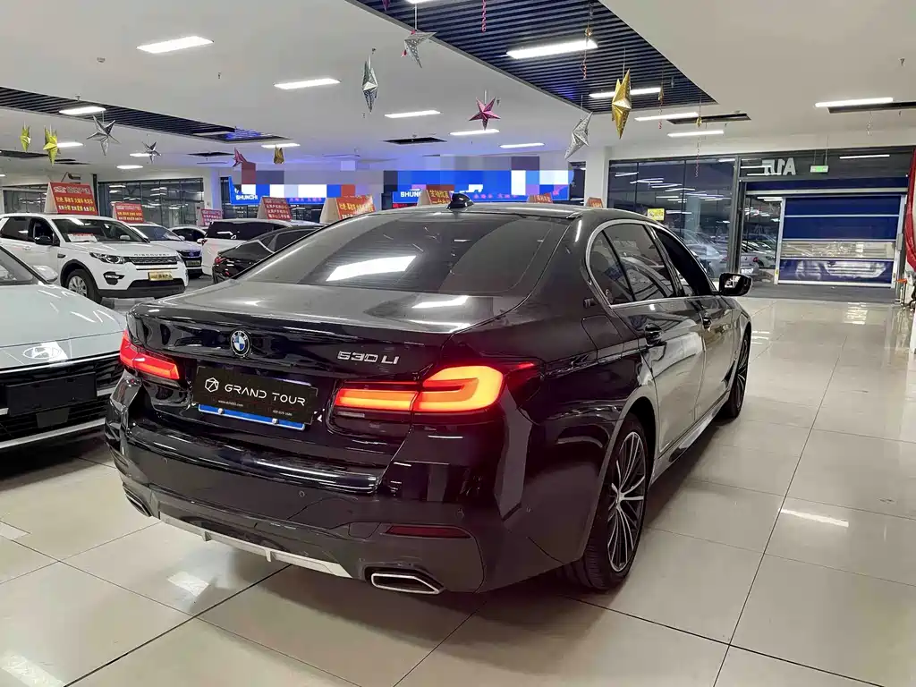 BMW 5 Series — миниатюра 4