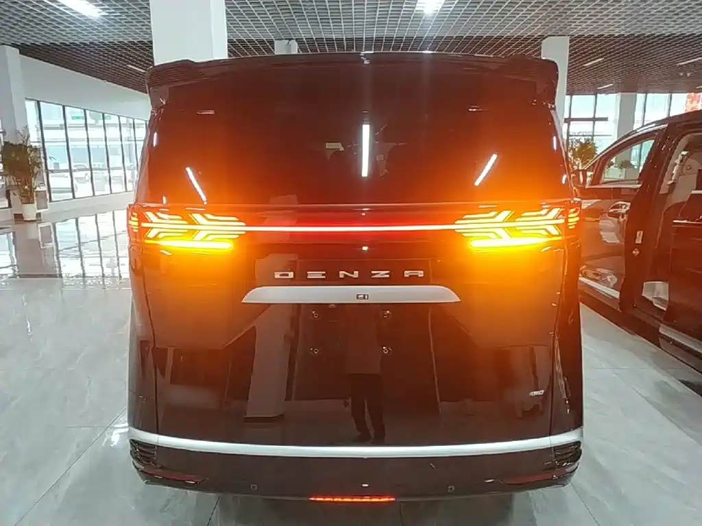 Denza Denza D9 — миниатюра 6
