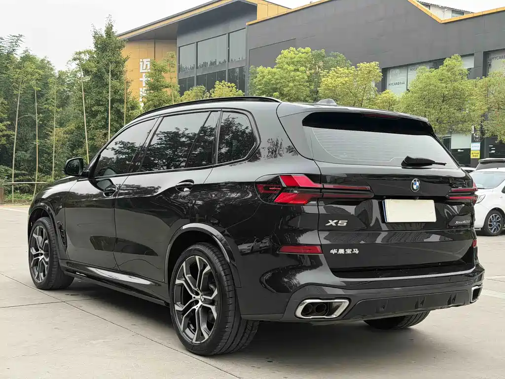 BMW X5 — миниатюра 6