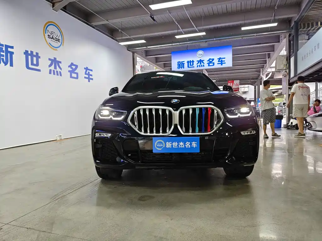 BMW X6 2021 xDrive30i M Sport