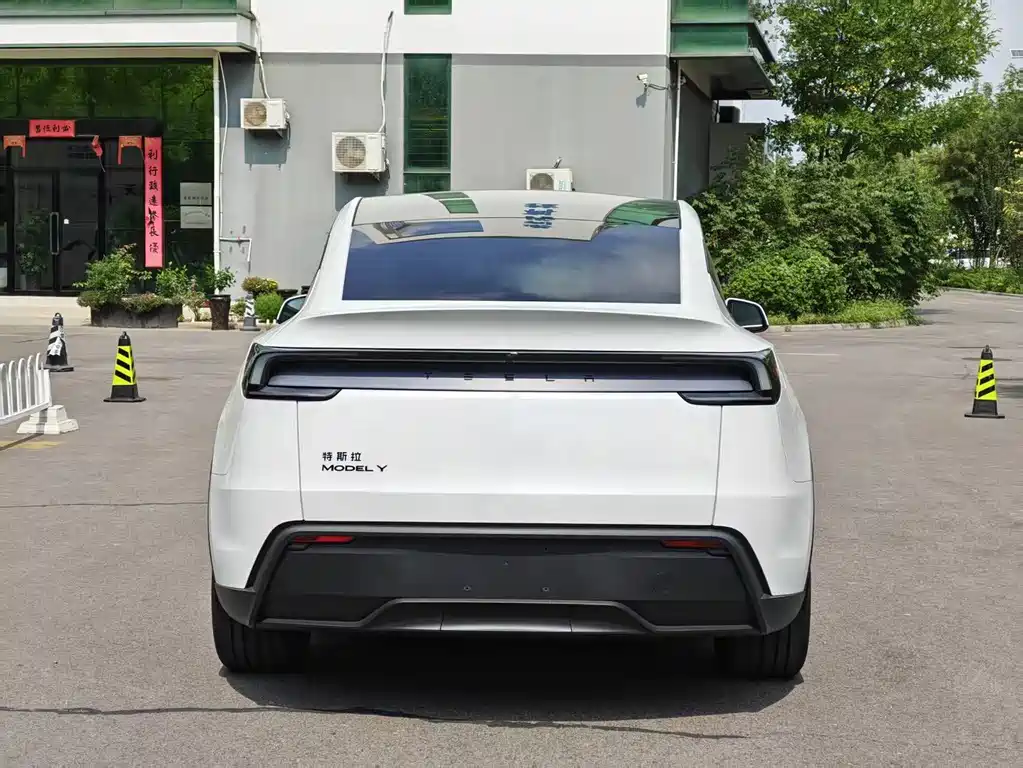 Tesla Model Y — миниатюра 7