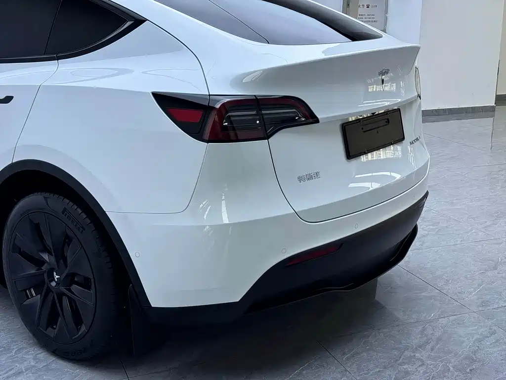 Tesla Model Y — миниатюра 16