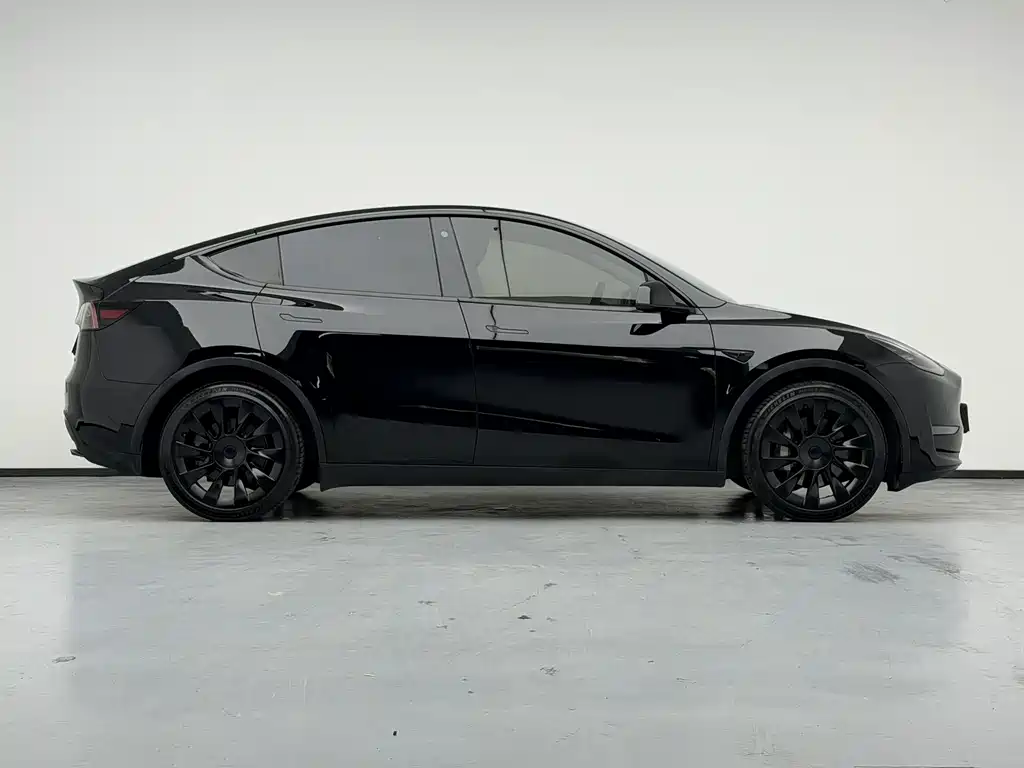 Tesla Model Y — миниатюра 8