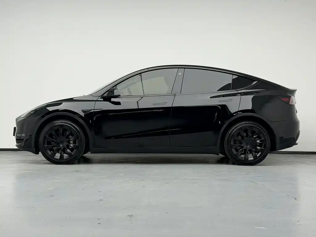 Tesla Model Y — миниатюра 9