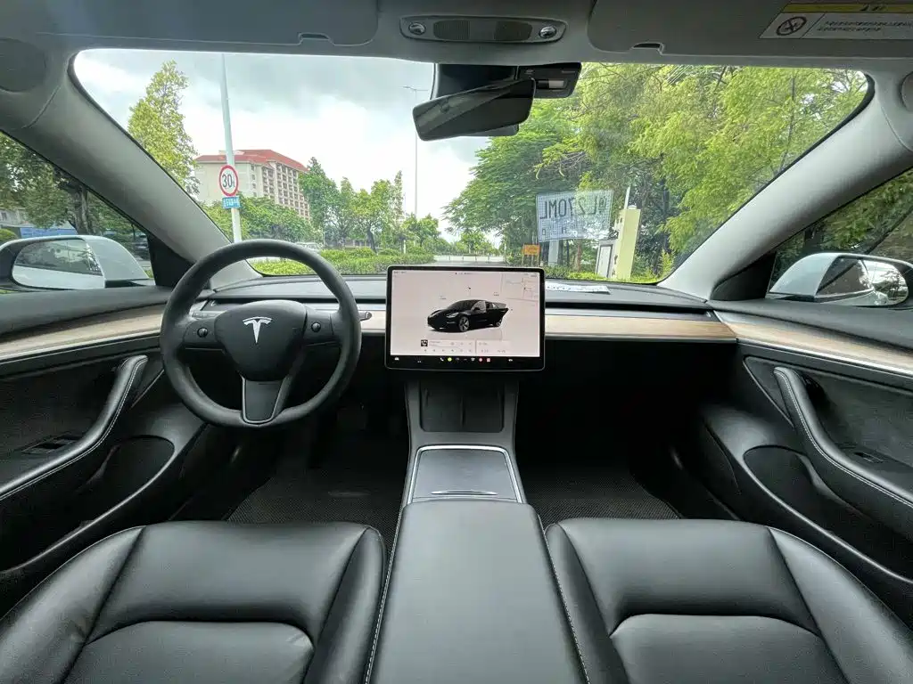Tesla Model 3 — миниатюра 5