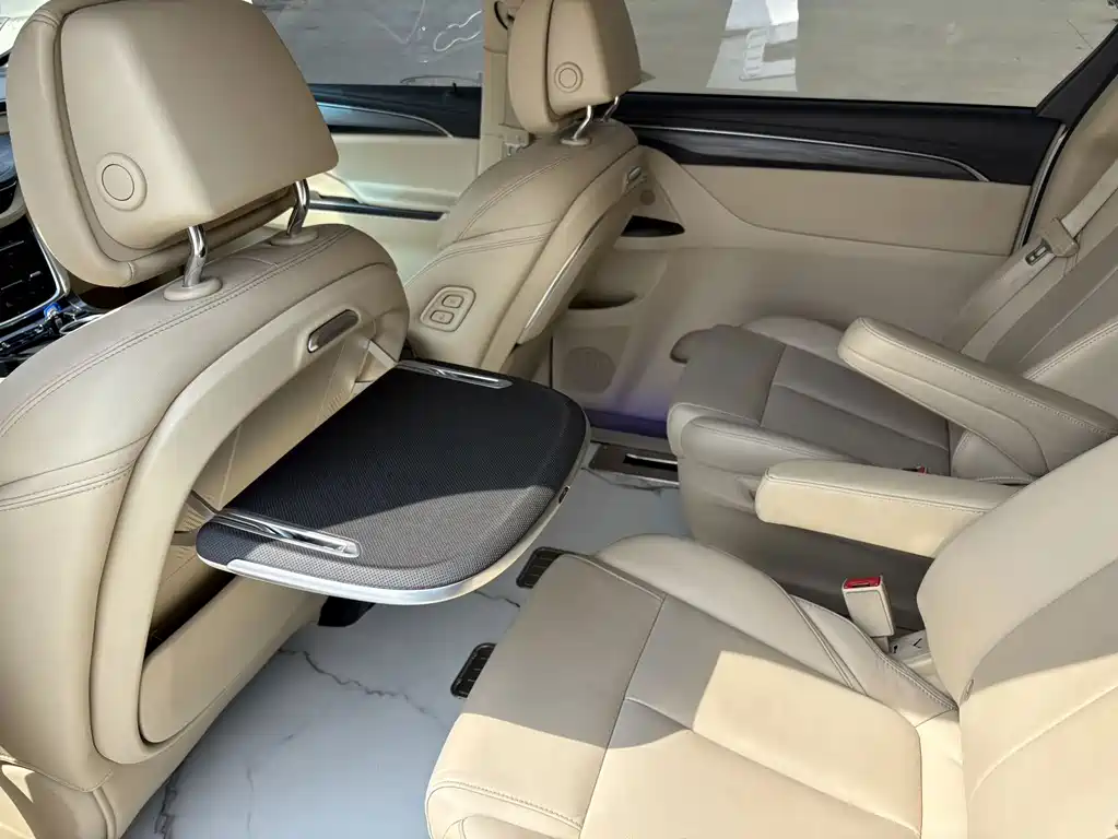 Buick GL8 — миниатюра 13