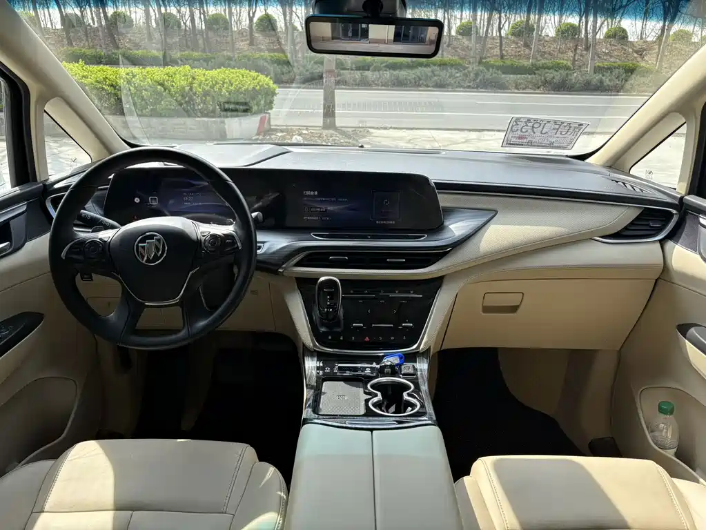 Buick GL8 — миниатюра 17