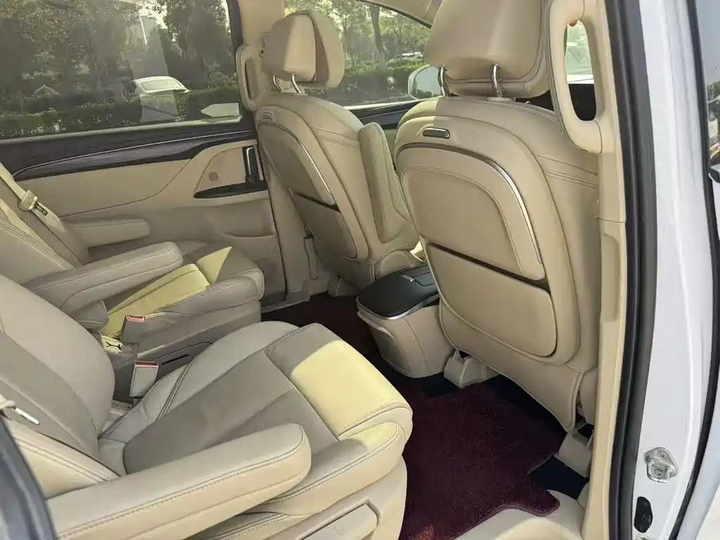 Buick GL8 — миниатюра 17