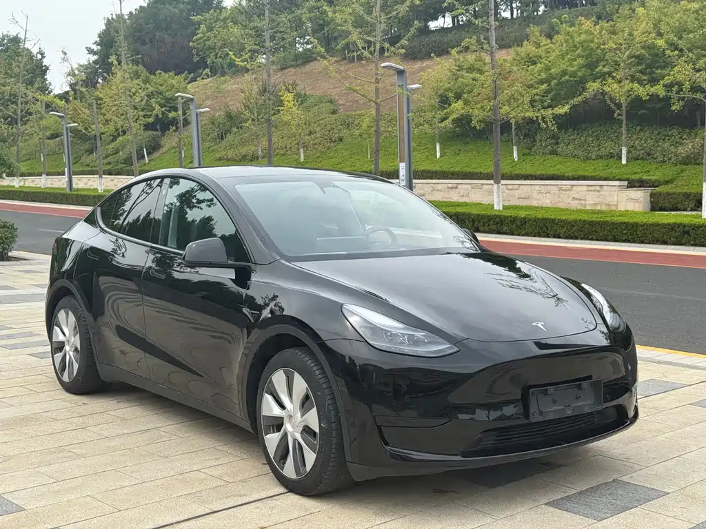 Tesla Model Y — миниатюра 3