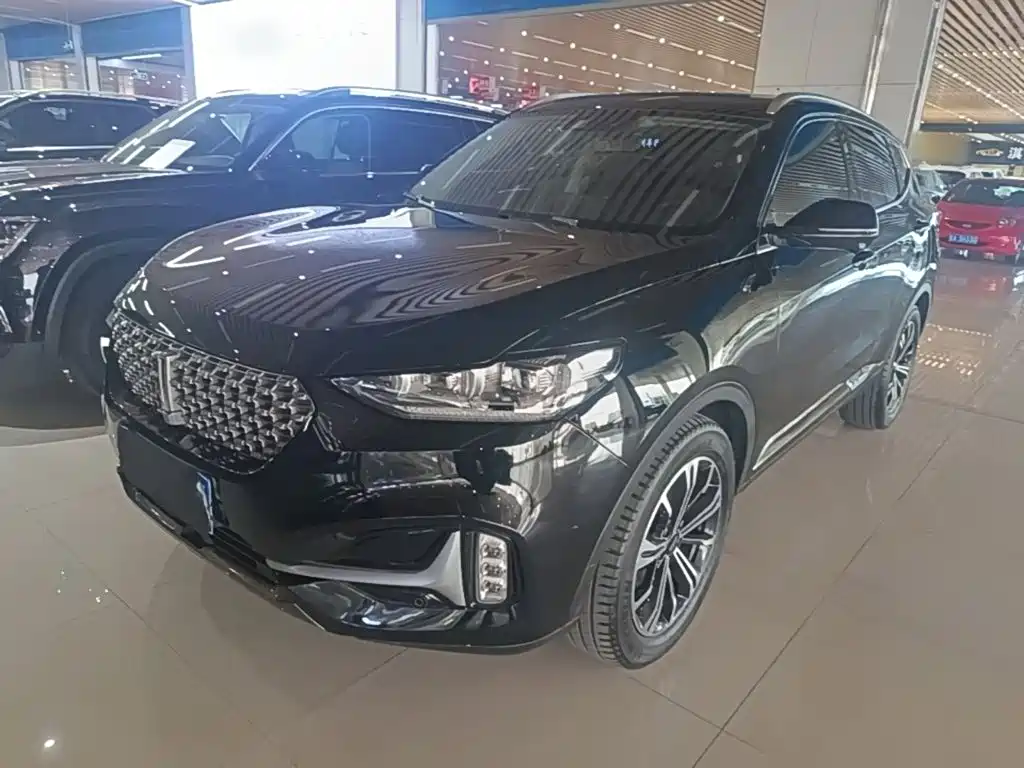 Wey Wey VV6