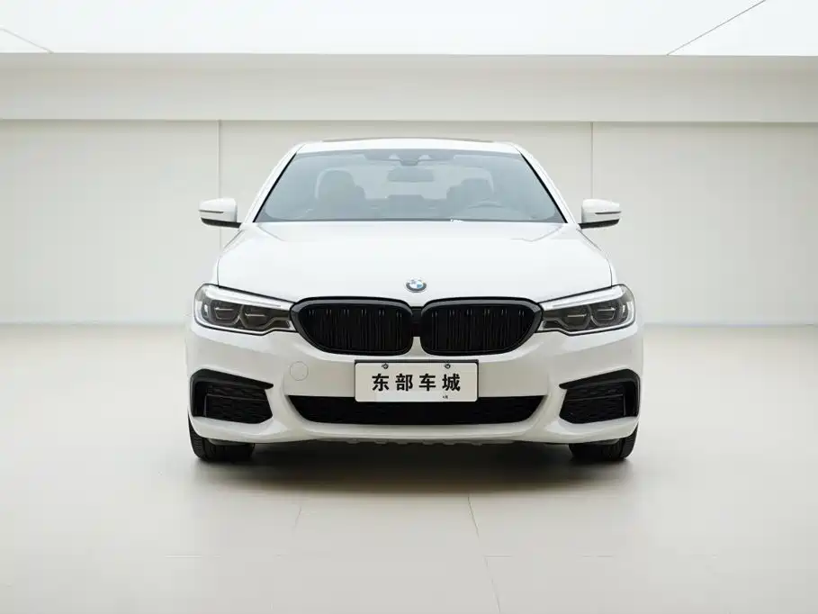 BMW 5 Series (Import) — миниатюра 2