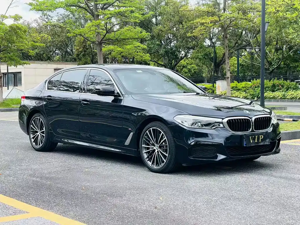 BMW 5 Series — миниатюра 3