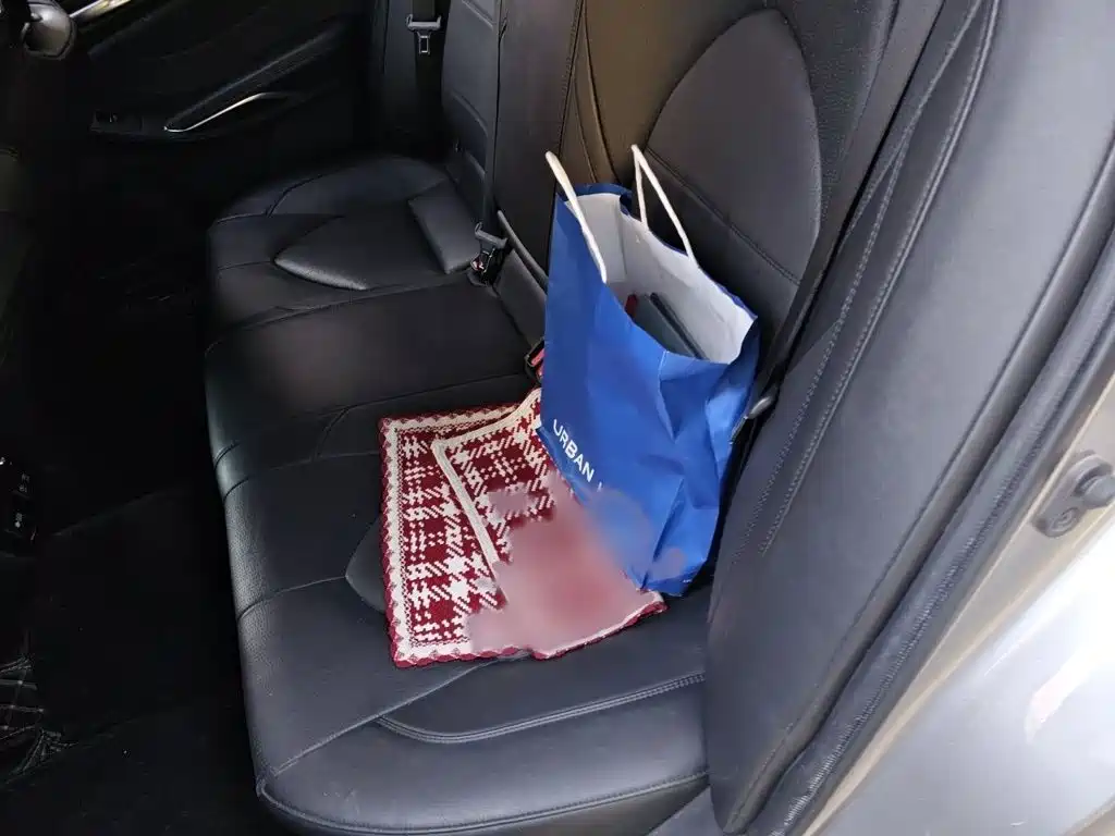 Toyota Avalon — миниатюра 15