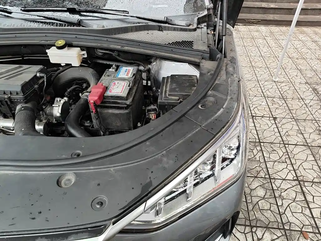 BYD PLUS — миниатюра 22
