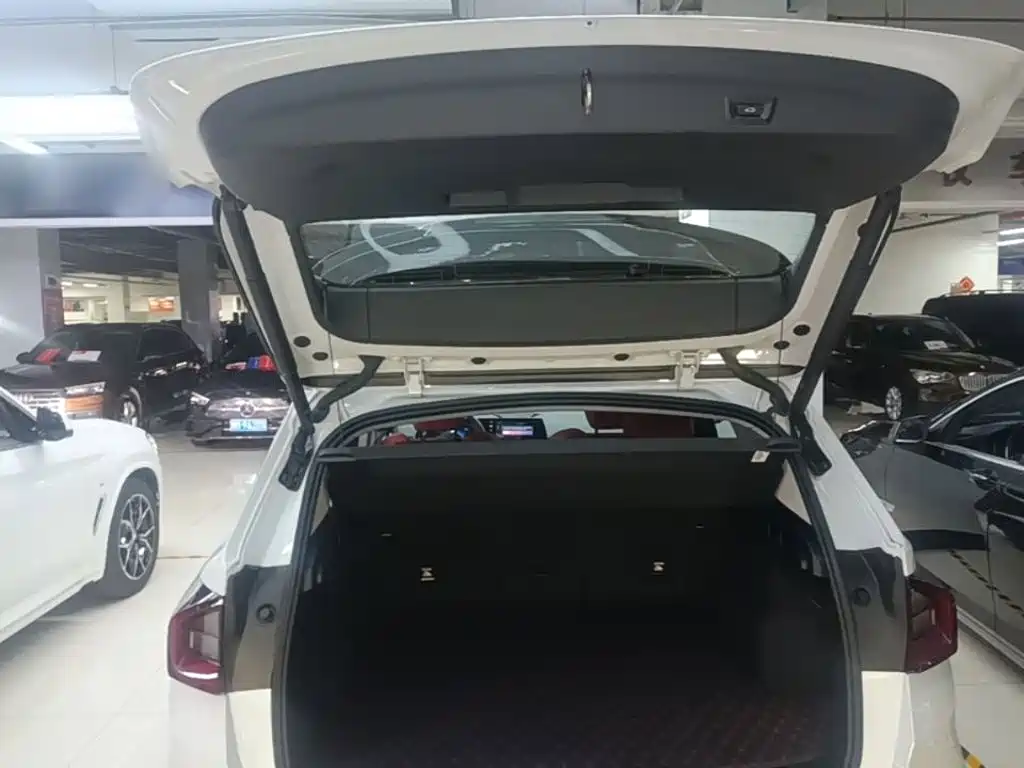 BMW X1 — миниатюра 19