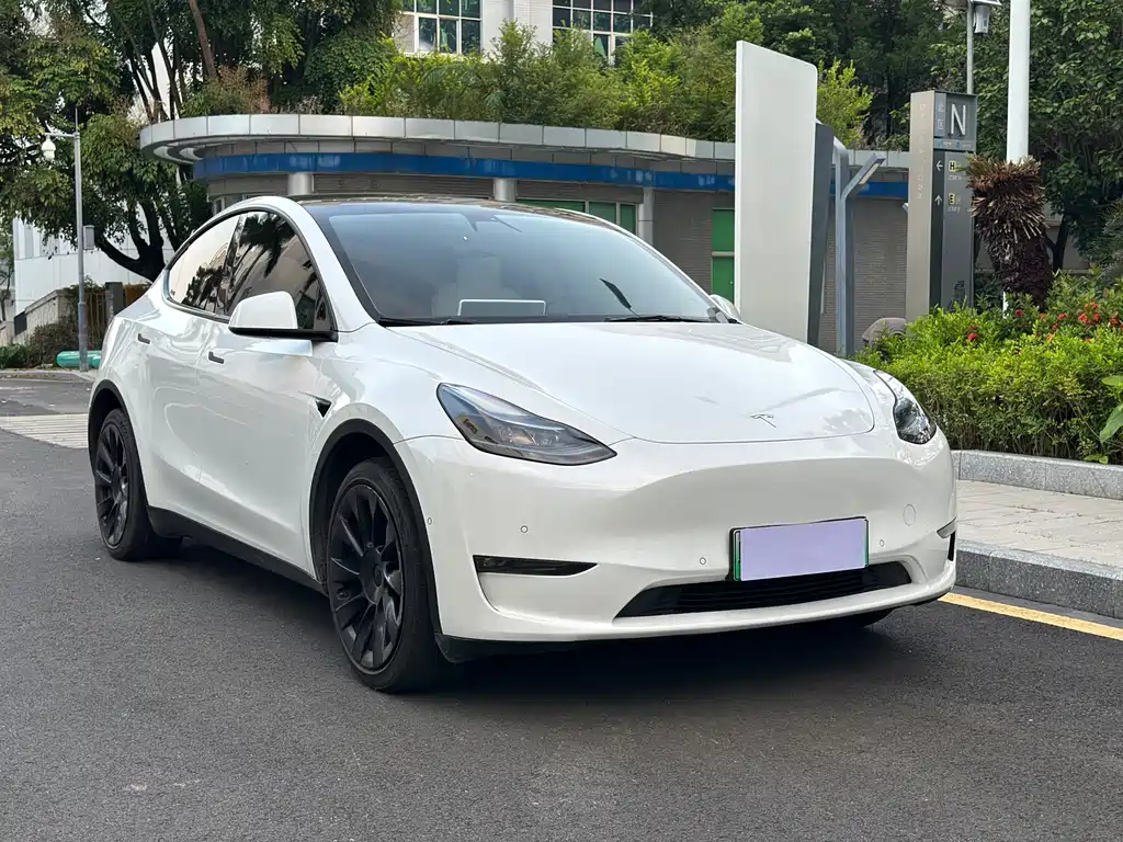 Tesla Model Y — миниатюра 3