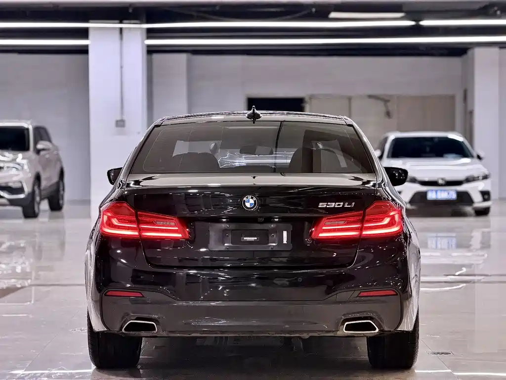BMW 5 Series — миниатюра 10
