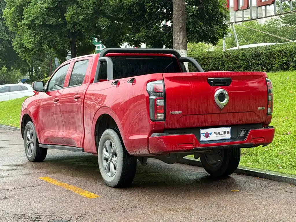 Great Wall Pao — миниатюра 4