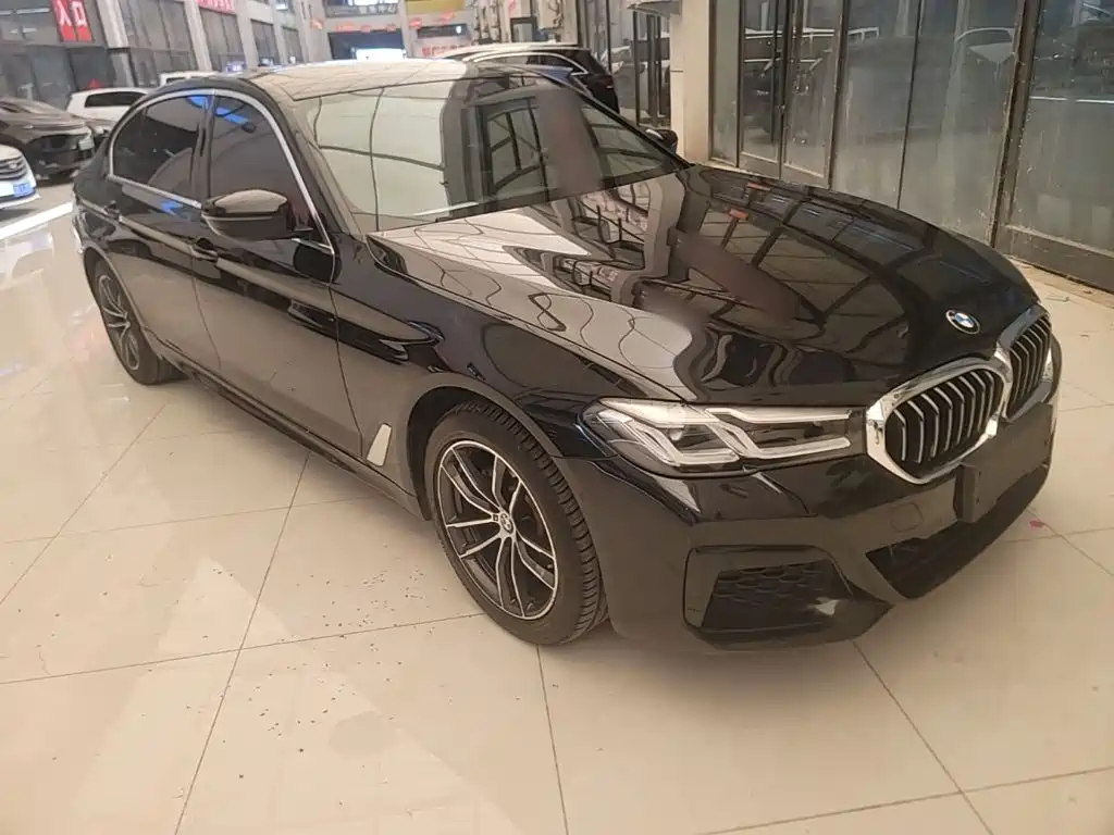 BMW 5 Series — миниатюра 4