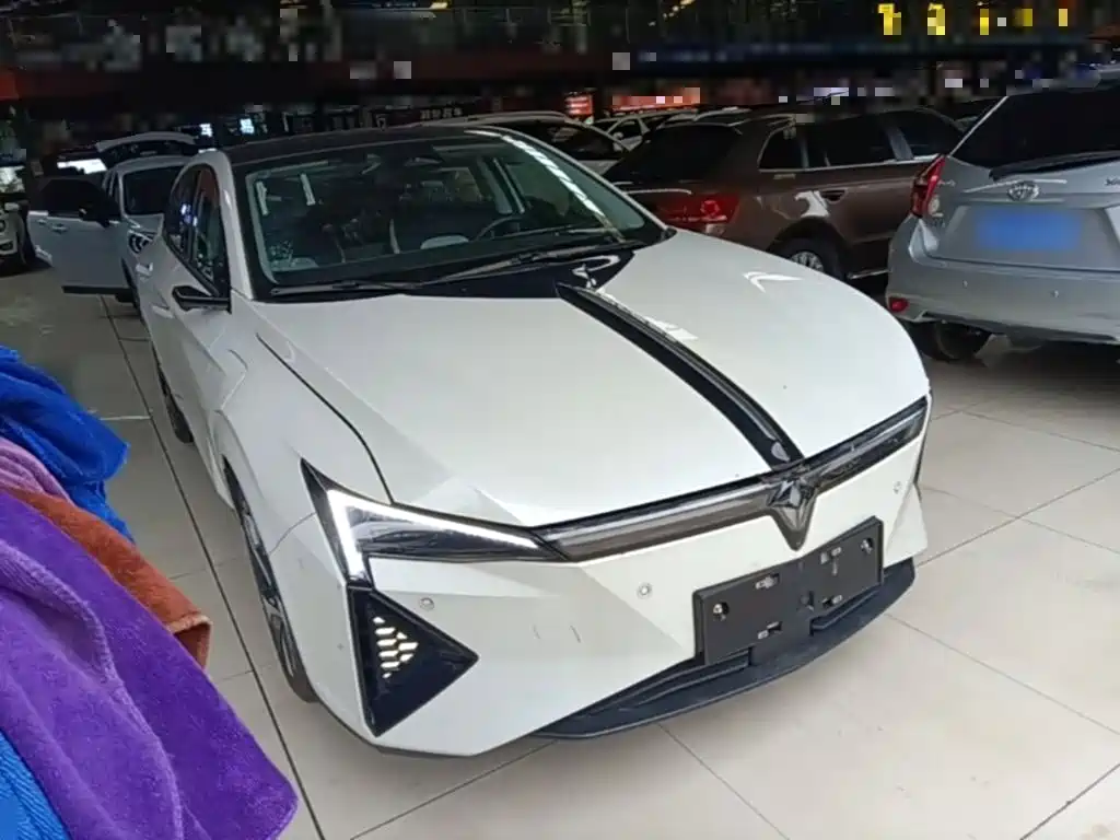 Lingxi Lingxi L — миниатюра 4