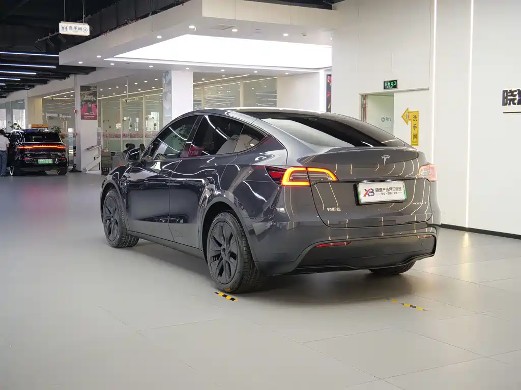Tesla Model Y — миниатюра 10