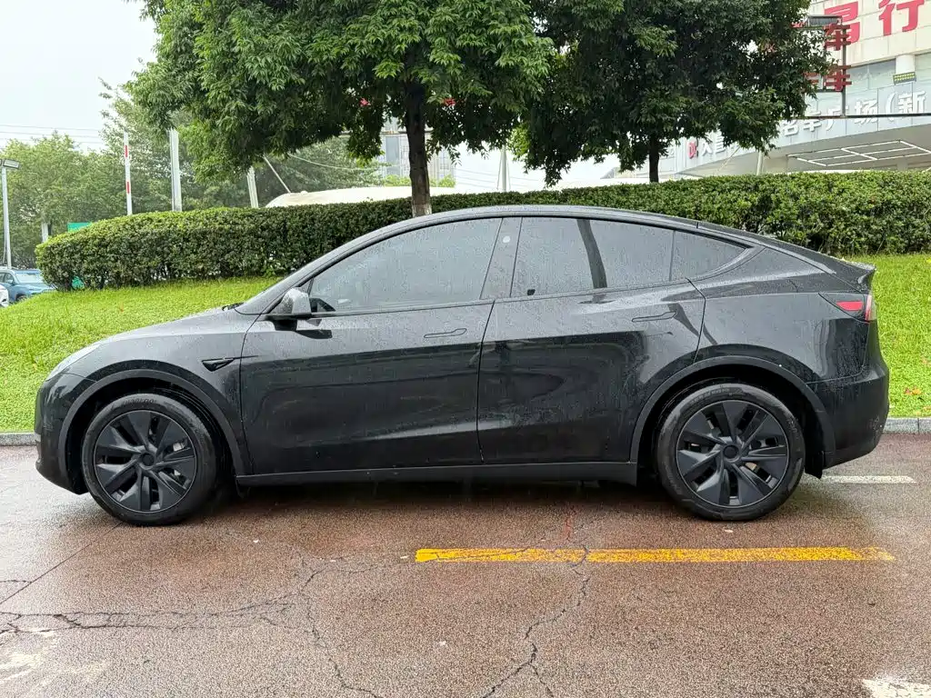 Tesla Model Y — миниатюра 3