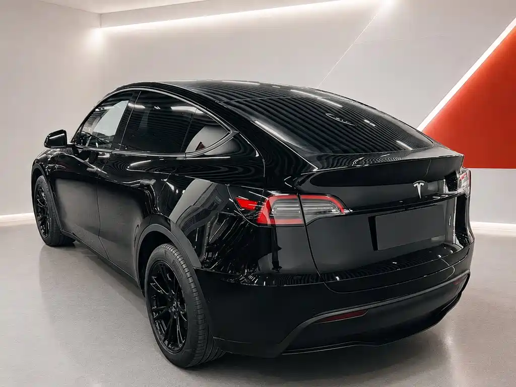 Tesla Model Y — миниатюра 4