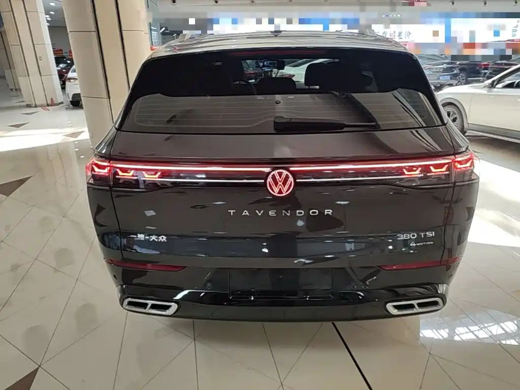 Volkswagen Tavendor — миниатюра 6