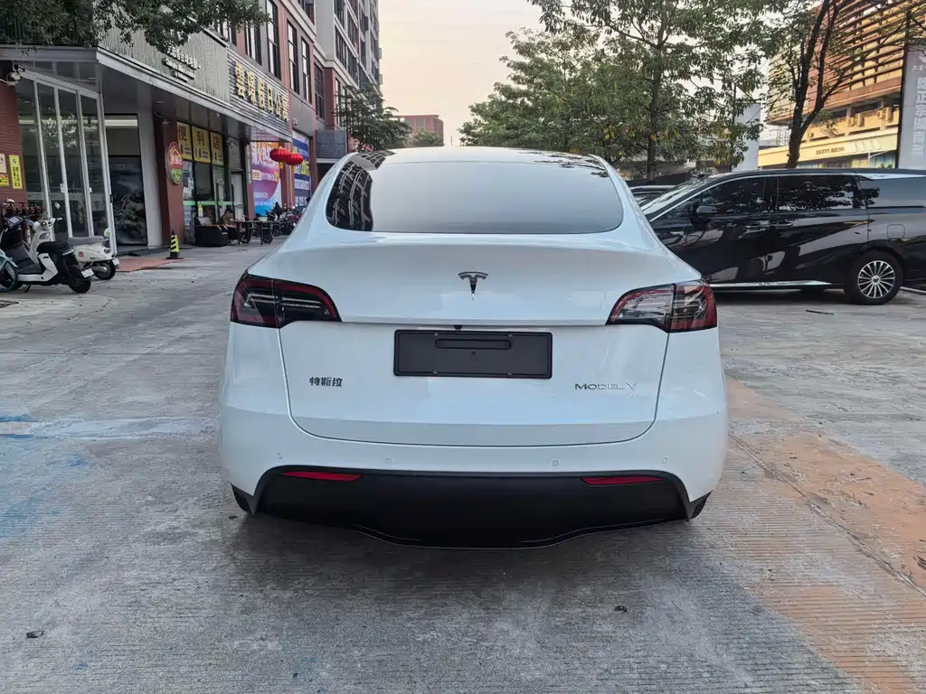 Tesla Model Y — миниатюра 6