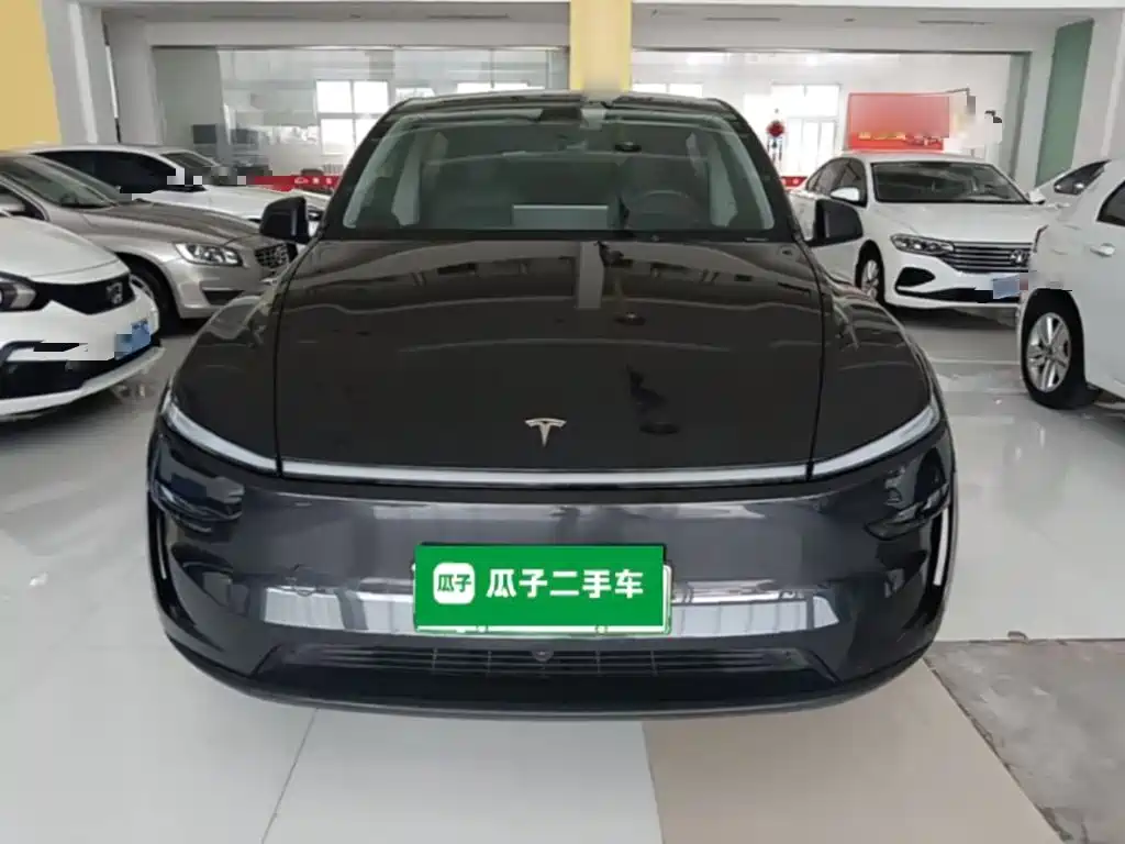 Tesla Model Y — миниатюра 3