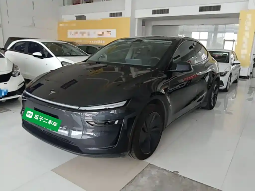 Tesla Model Y — миниатюра 2