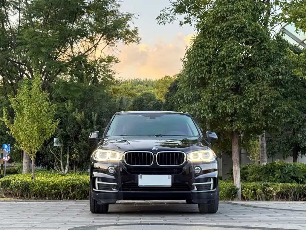 BMW X5 (Import) — миниатюра 2