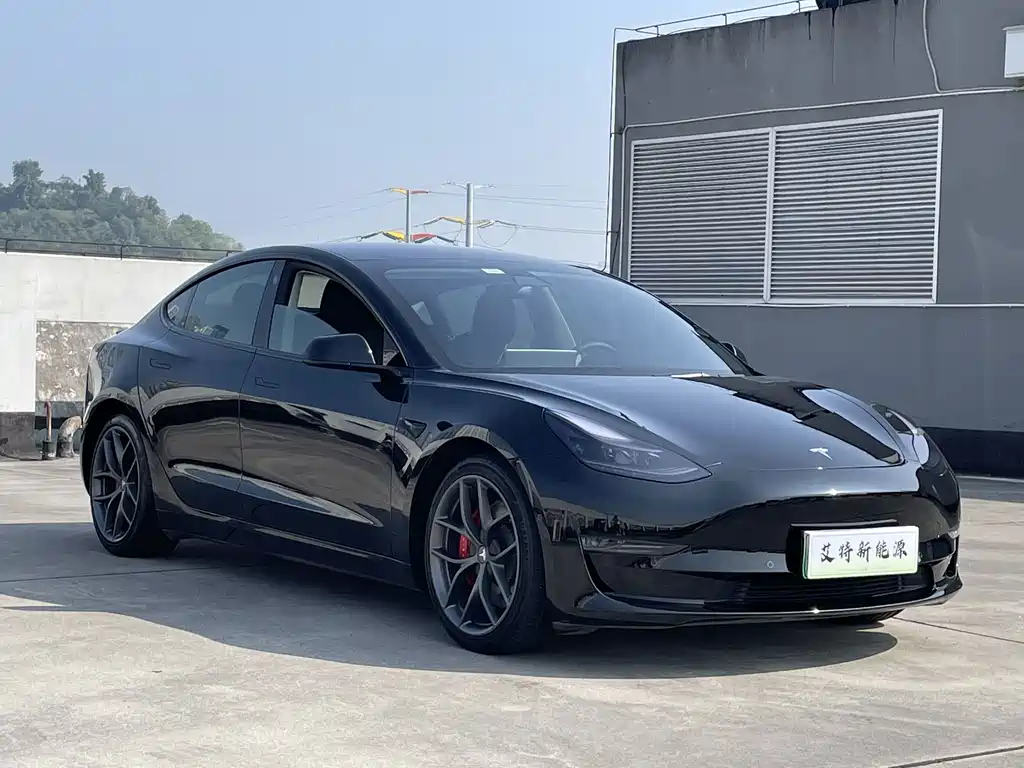 Tesla Model 3 — миниатюра 2