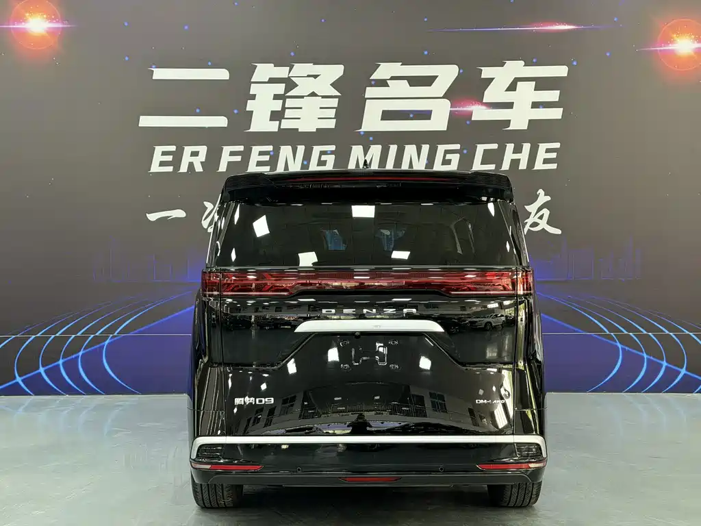 Denza Denza D9 — миниатюра 5