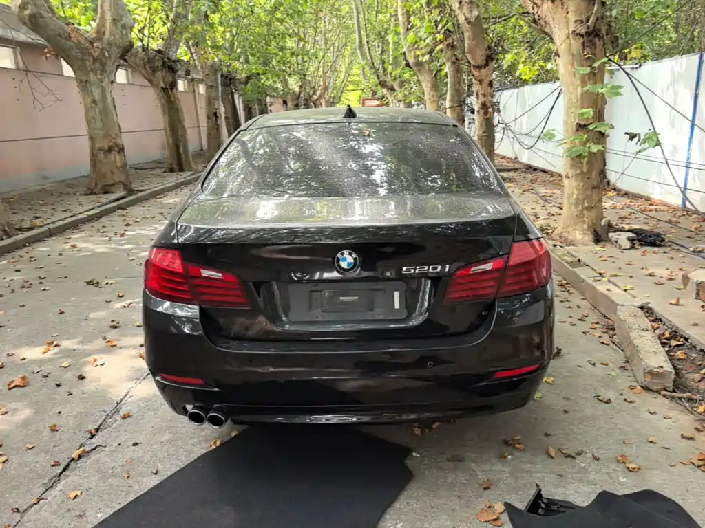 BMW 5 Series (Import) — миниатюра 6