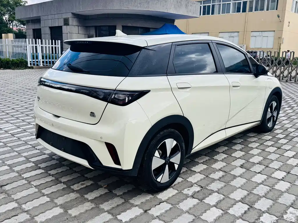 BYD Dolphin — миниатюра 5