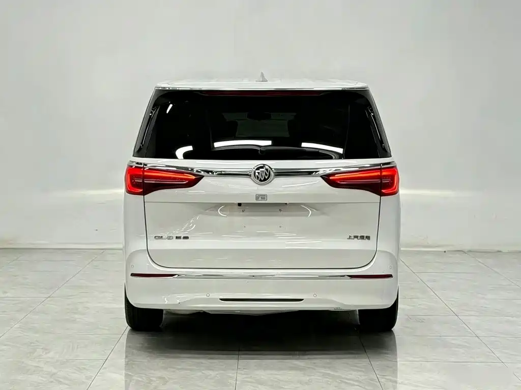 Buick GL8 — миниатюра 6