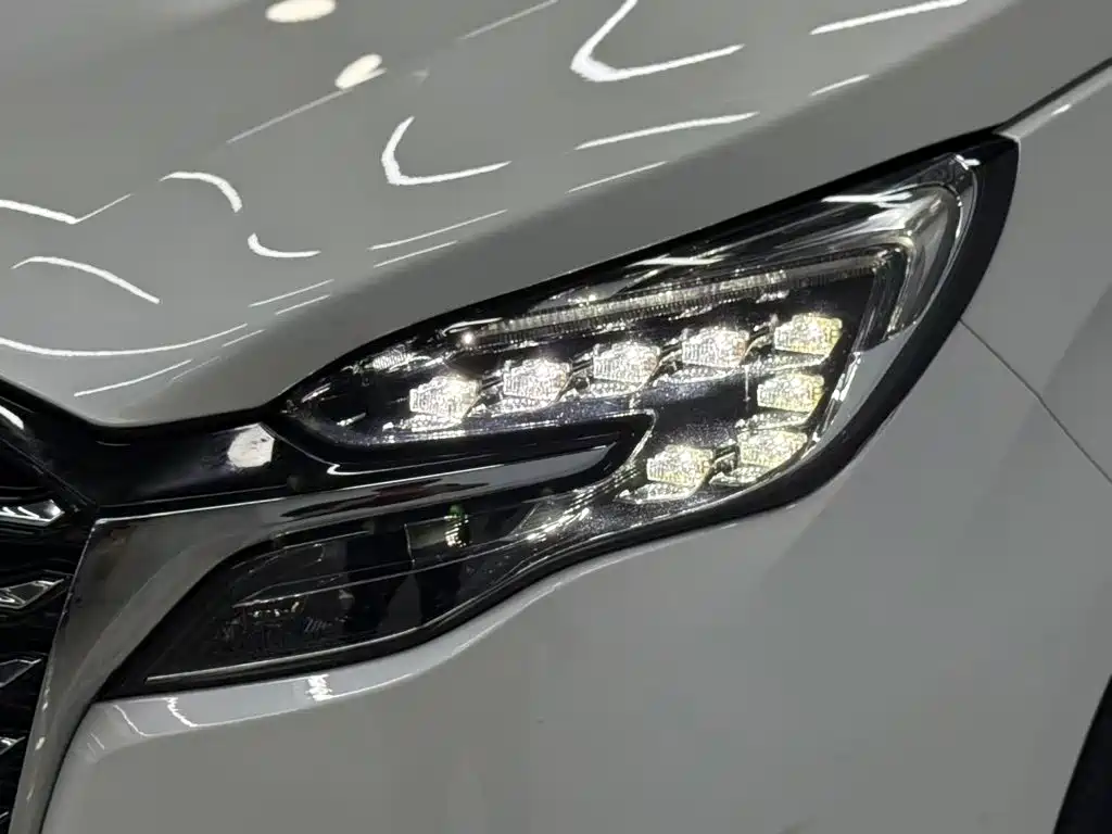 Buick GL8 — миниатюра 24