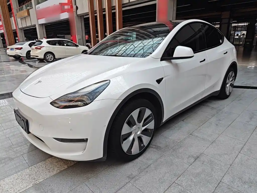 Tesla Model Y — миниатюра 2