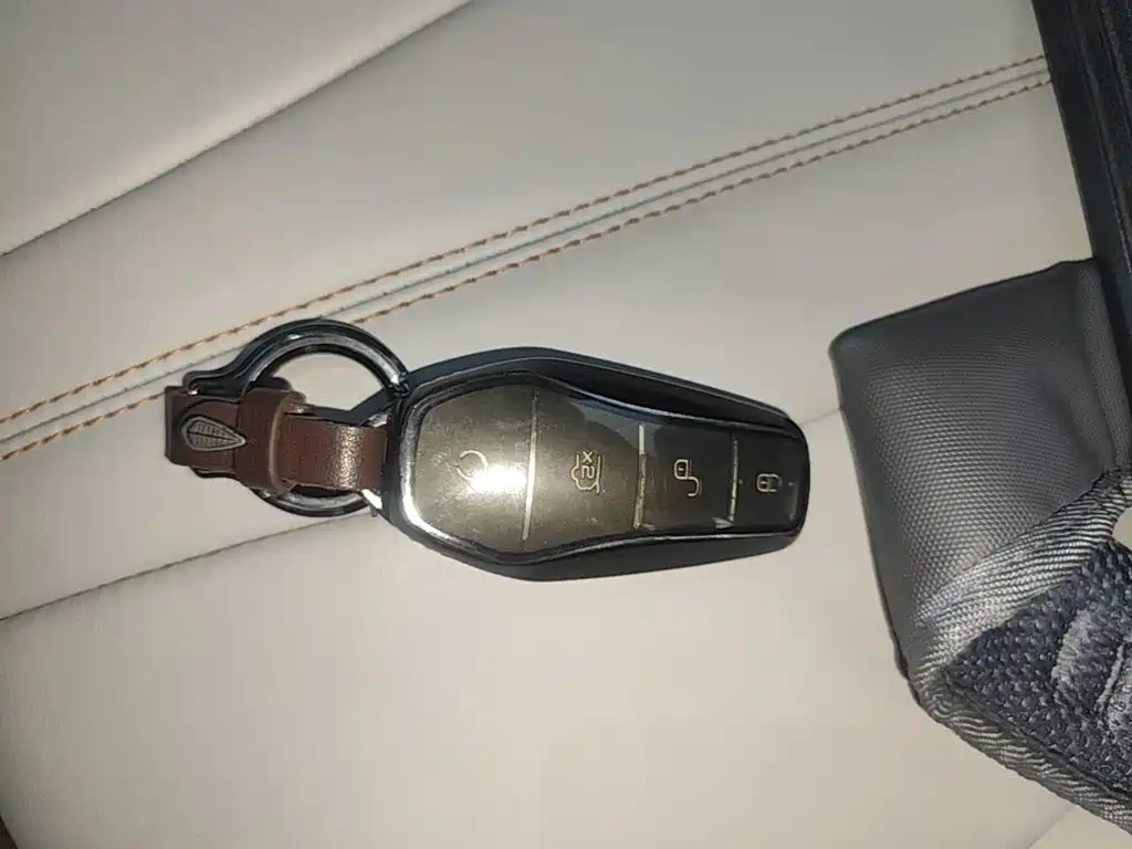 BYD PLUS New Energy — миниатюра 9